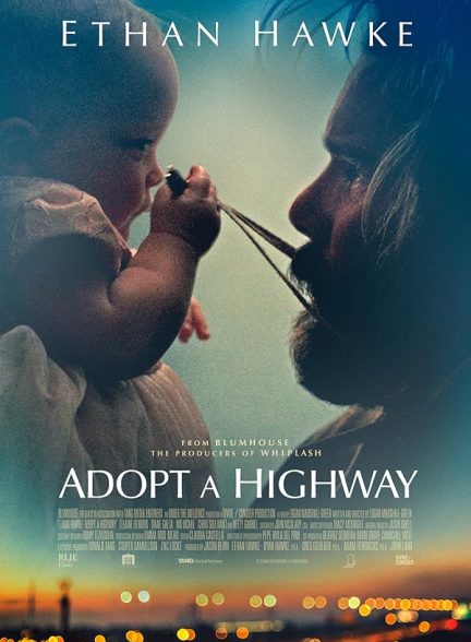 Adopt a Highway