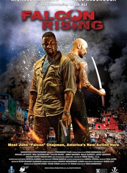 Falcon Rising