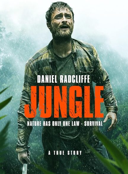 Jungle