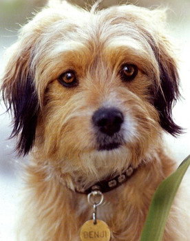 Benjean