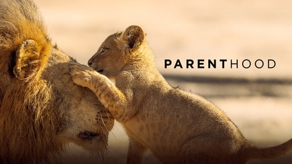 دانلود سریال  Parenthood