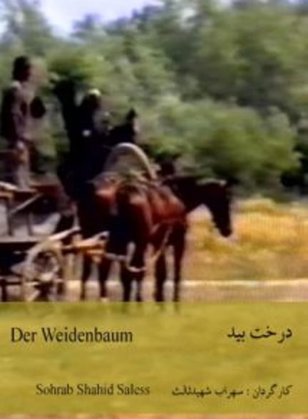 دانلود فیلم The Willow Tree