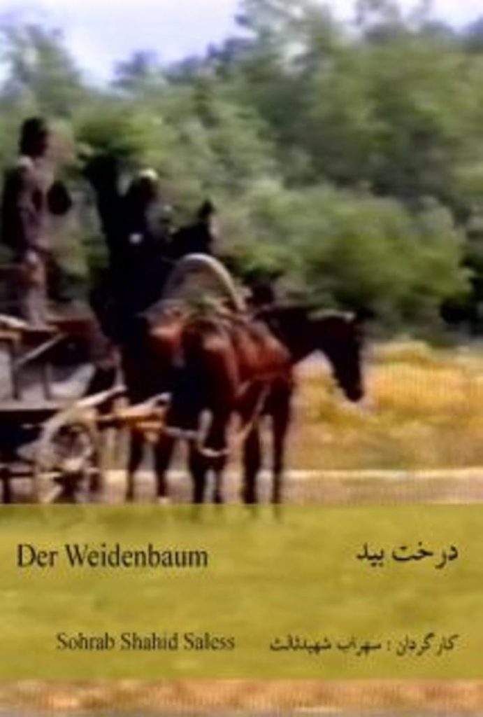 دانلود فیلم The Willow Tree