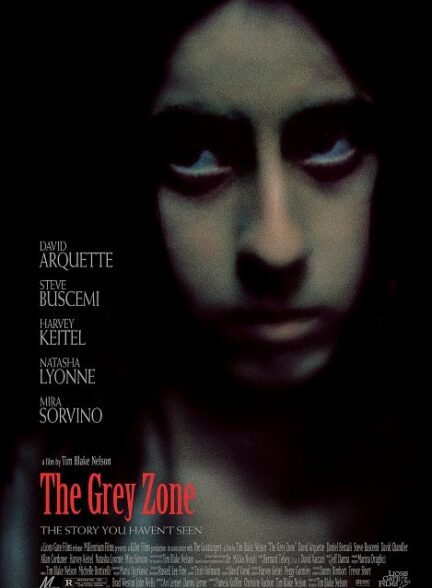 The Grey Zone