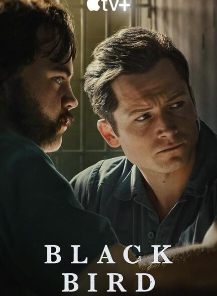 دانلود سریال  Black Bird