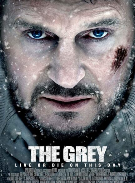 The Grey