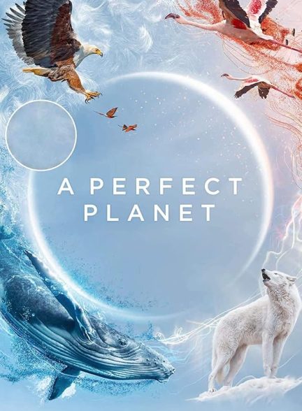 دانلود سریال  A Perfect Planet