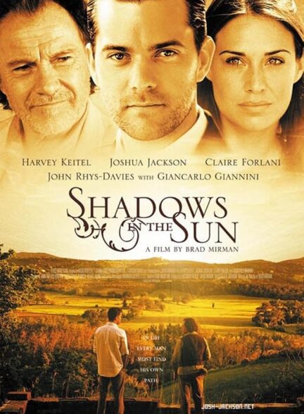 Shadows in the Sun