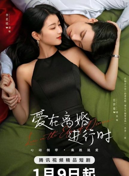 دانلود سریال  Love in the Edge of Divorce