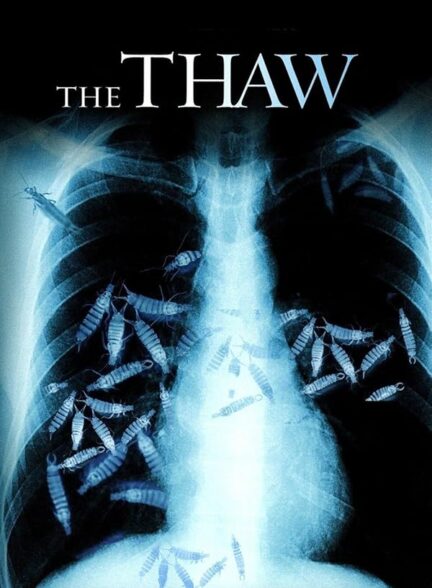 The Thaw