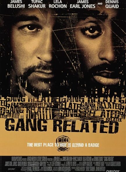 Gang Related