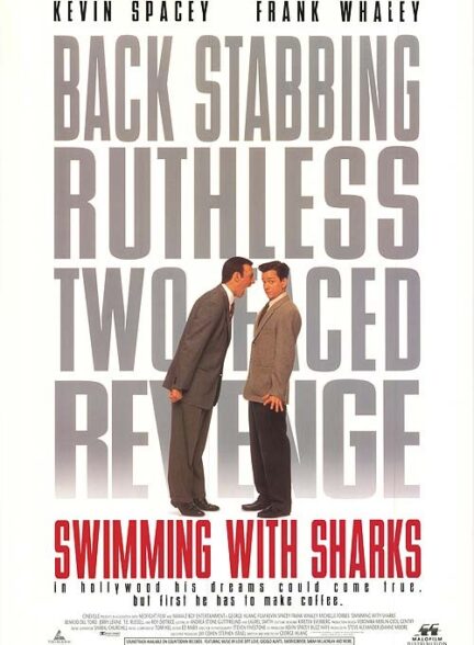 Swimming with Sharks