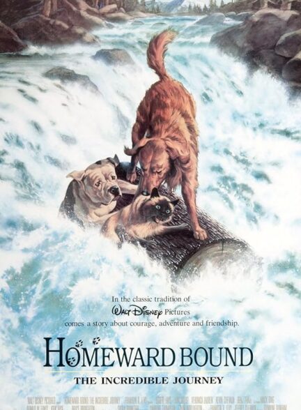 Homeward Bound: The Incredible Journey