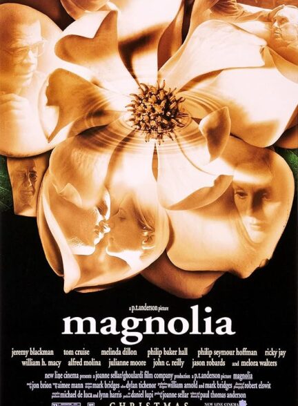 Magnolia