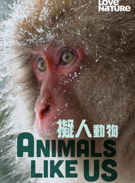 دانلود سریال  Animals Like Us