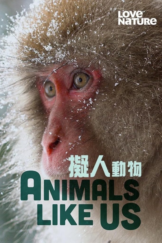 دانلود سریال  Animals Like Us