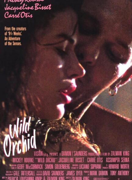 Wild Orchid