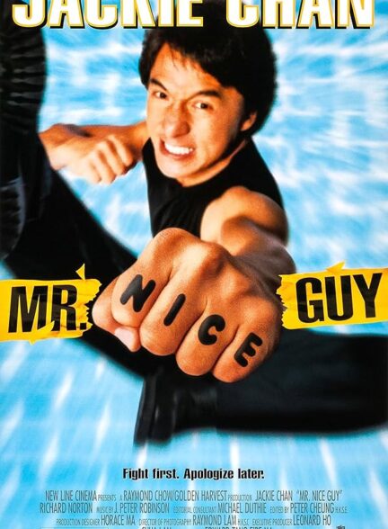 Mr. Nice Guy