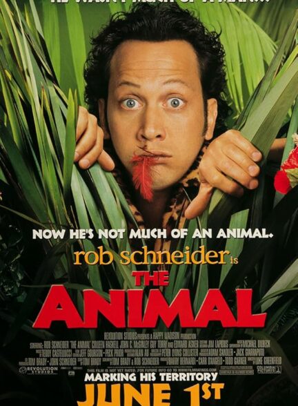 The Animal