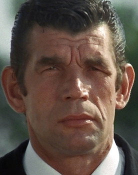 Michel Constantin