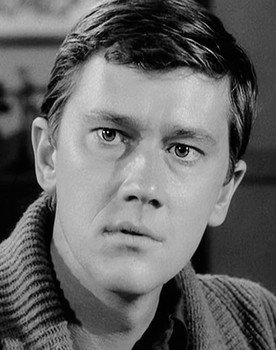 Andrew Prine