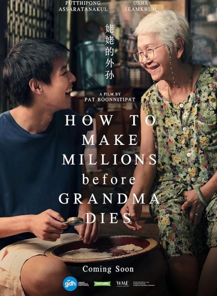 How to Make Millions Before Grandma Dies