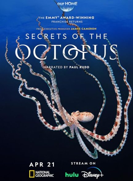 دانلود سریال  Secrets of the Octopus