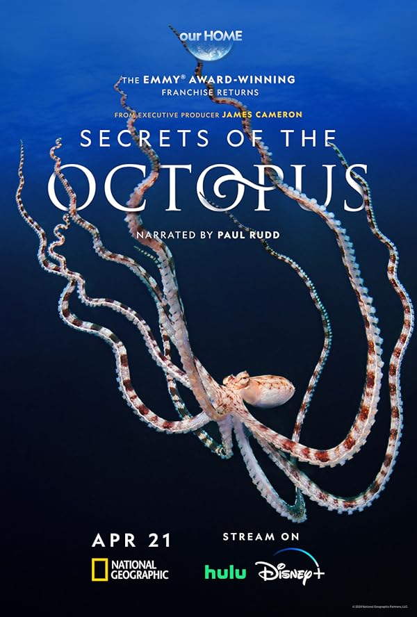 دانلود سریال  Secrets of the Octopus