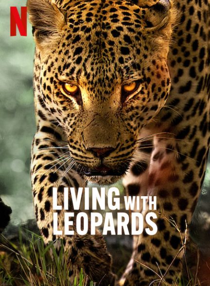 Living with Leopards