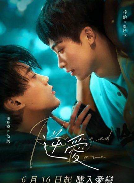 دانلود سریال Revenged Love