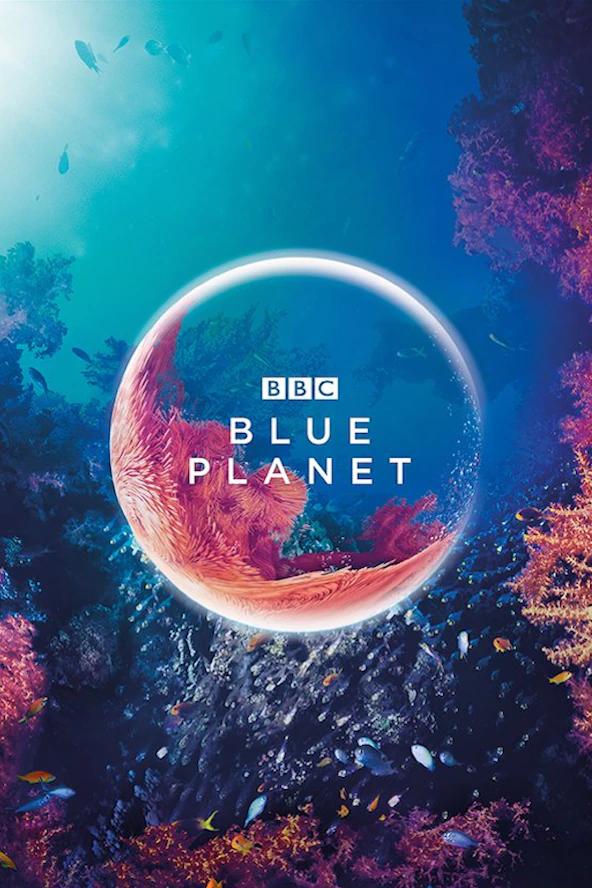 دانلود سریال  The Blue Planet