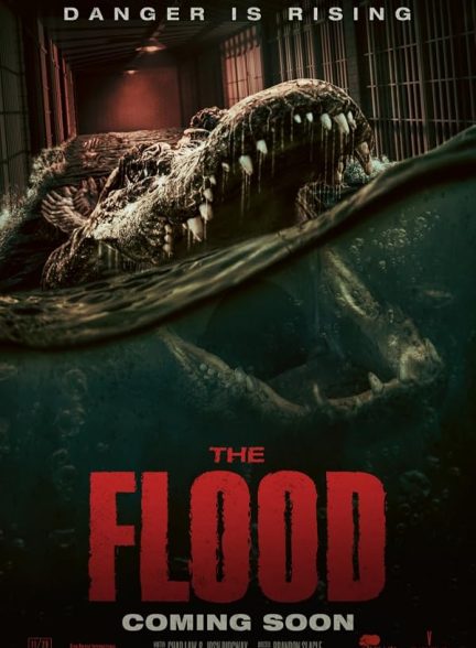 The Flood