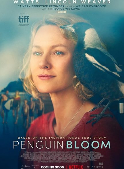 Penguin Bloom