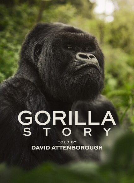 A Gorilla Story: Told by David Attenborough