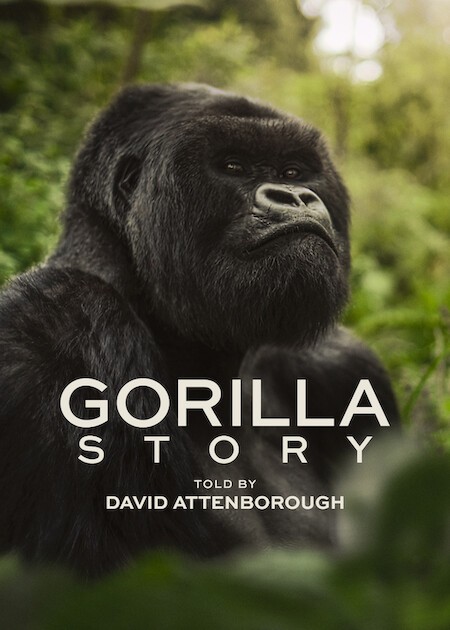 A Gorilla Story: Told by David Attenborough