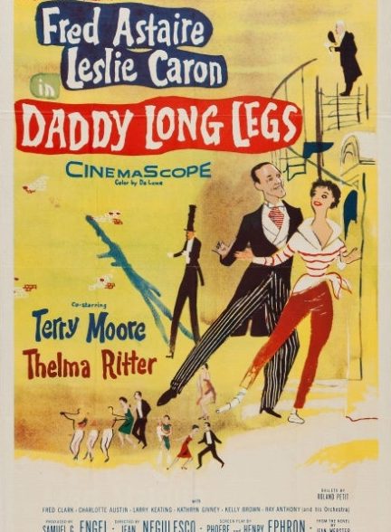 Daddy Long Legs