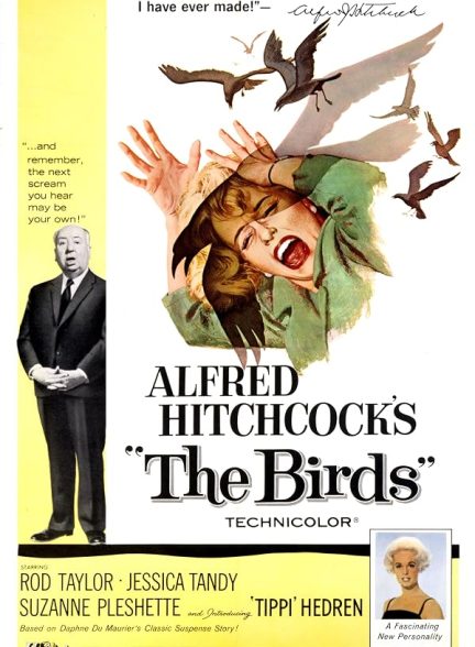 The Birds