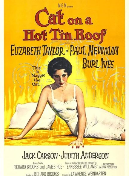Cat on a Hot Tin Roof