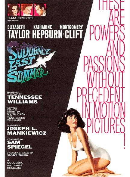 Suddenly, Last Summer