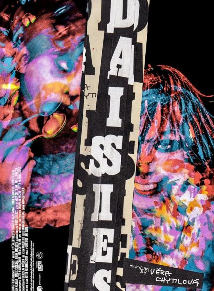 Daisies