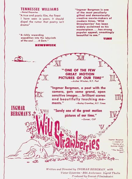 Wild Strawberries